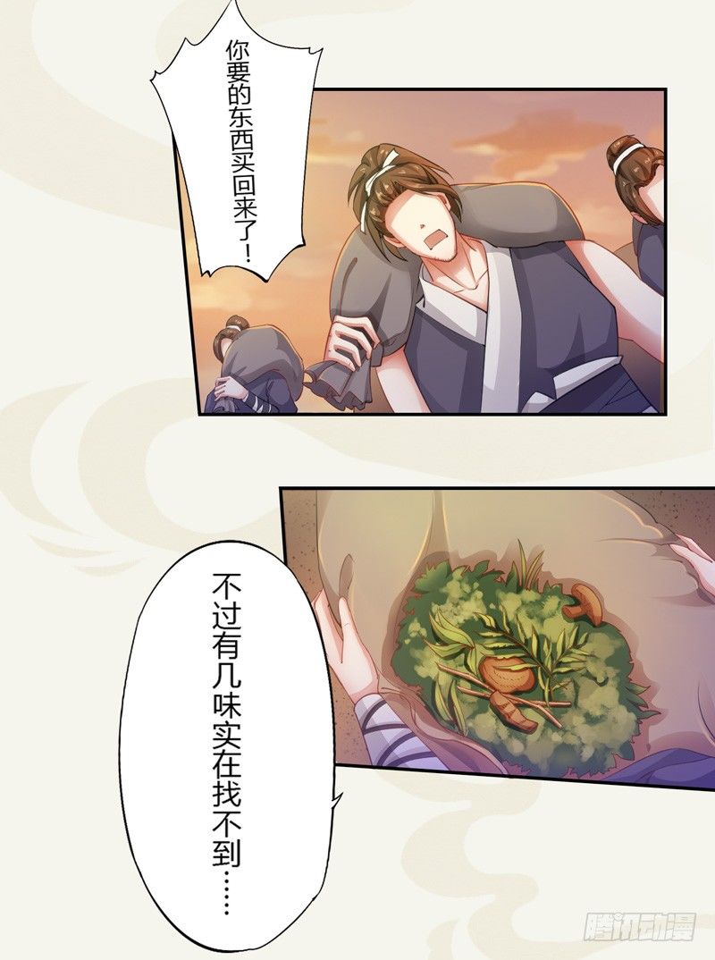 《绝世炼丹师》005 小姐是药剂师？ 第4页