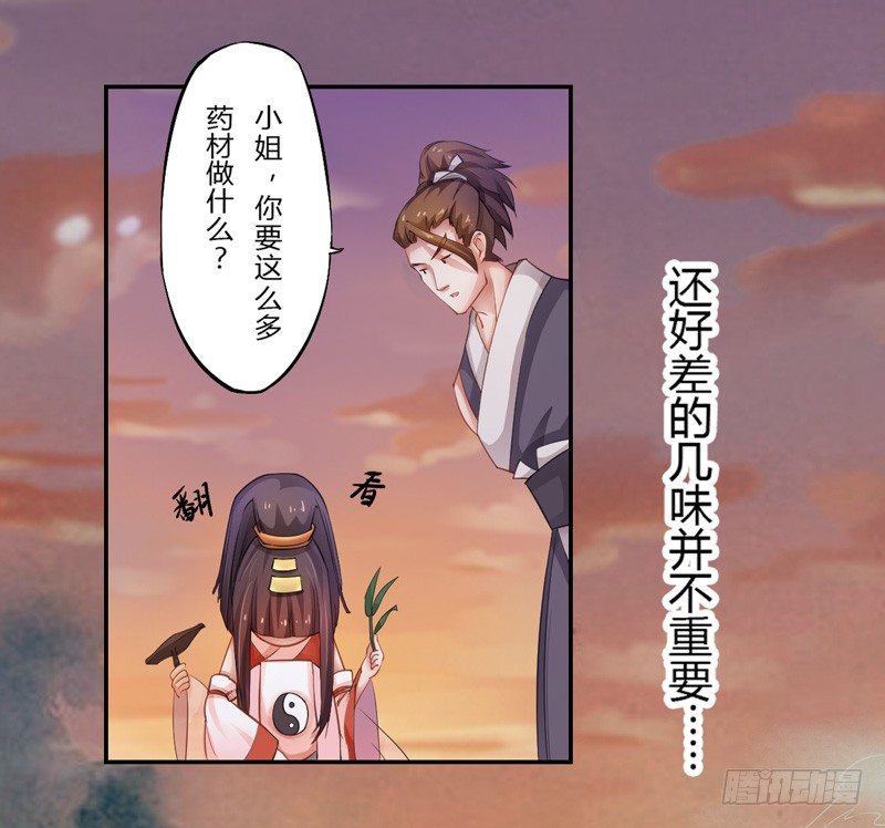 《绝世炼丹师》005 小姐是药剂师？ 第6页