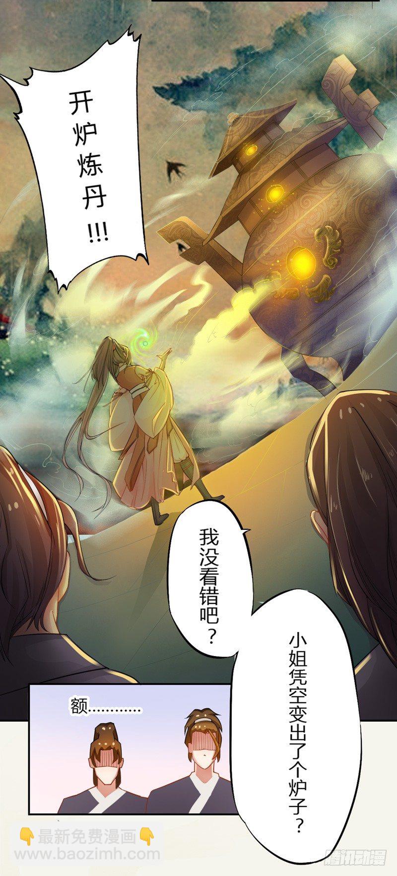《绝世炼丹师》005 小姐是药剂师？ 第8页