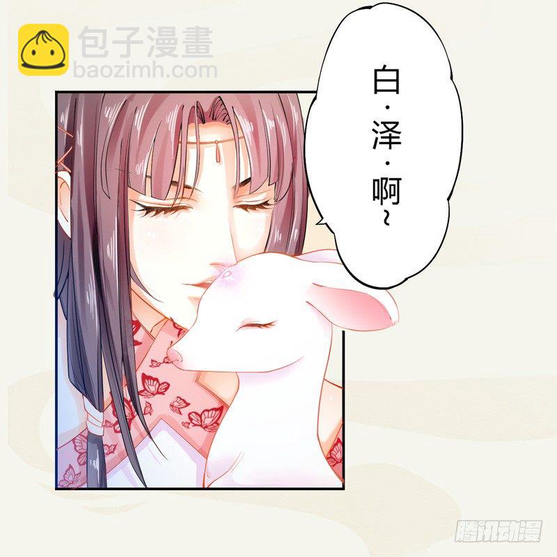 《绝世炼丹师》011 搞事情前要做好准备！ 第6页