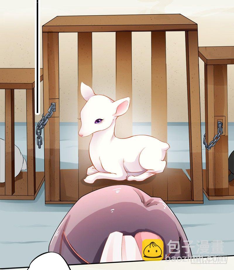 《绝世炼丹师》010 一见钟情 第14页