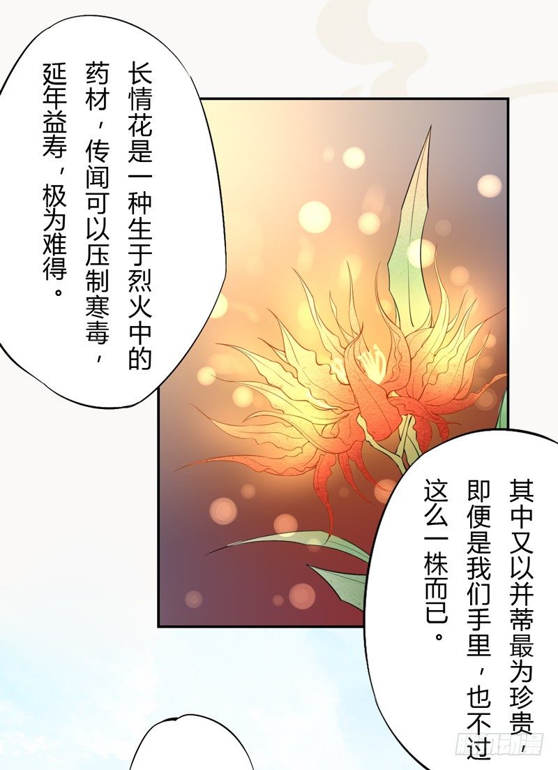 《绝世炼丹师》022 求人有求人的方式 第14页