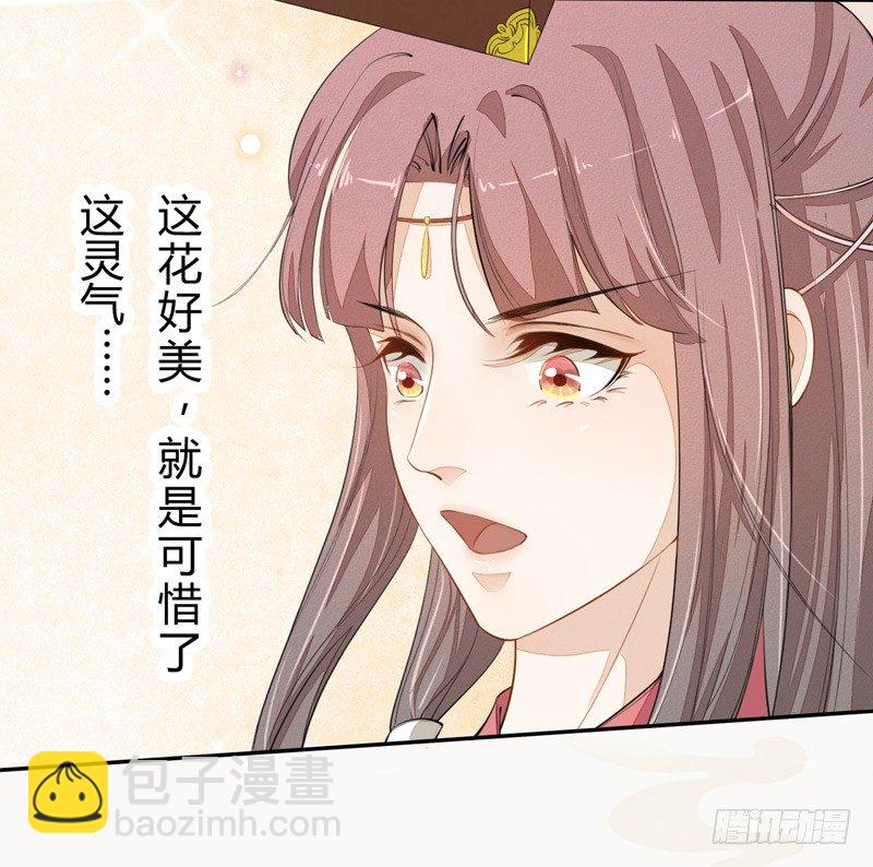 《绝世炼丹师》022 求人有求人的方式 第24页