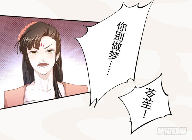 《绝世炼丹师》023 来自美男子的邀请！ 第5页