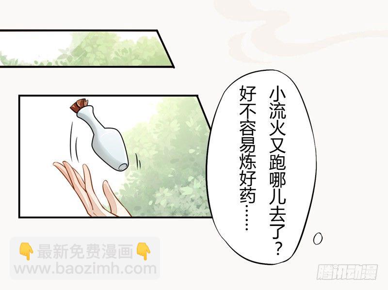 《绝世炼丹师》024 她的好意 第13页