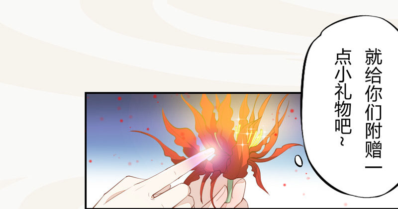 《绝世炼丹师》023 来自美男子的邀请！ 第13页