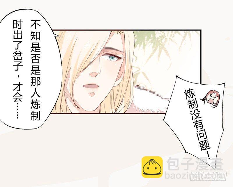 《绝世炼丹师》025 他的真容 第11页