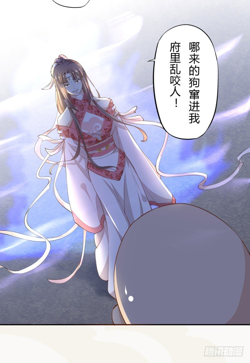 《绝世炼丹师》027 不速之客 第13页