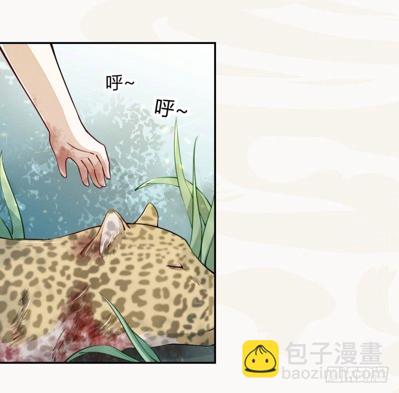 《绝世炼丹师》032 血族 第27页