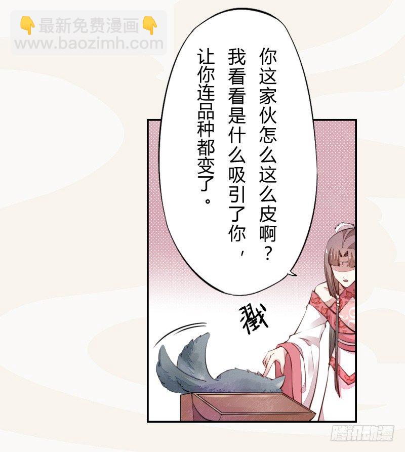 《绝世炼丹师》034 我什么都不缺就缺宝物 第15页