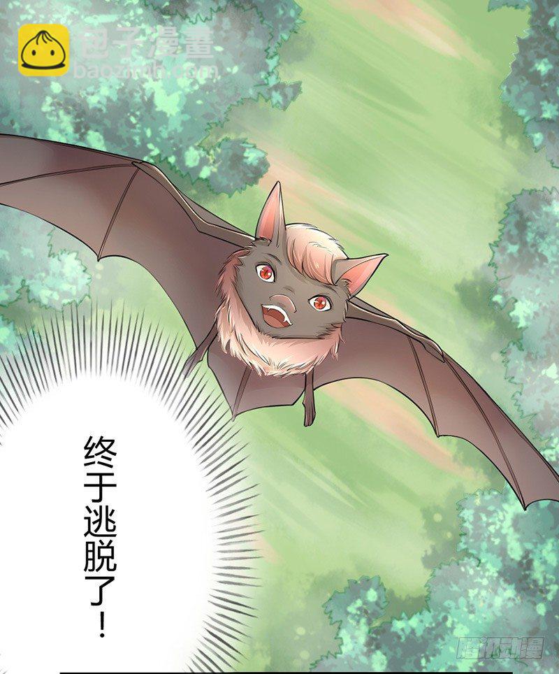 《绝世炼丹师》033 血族的用法 第14页