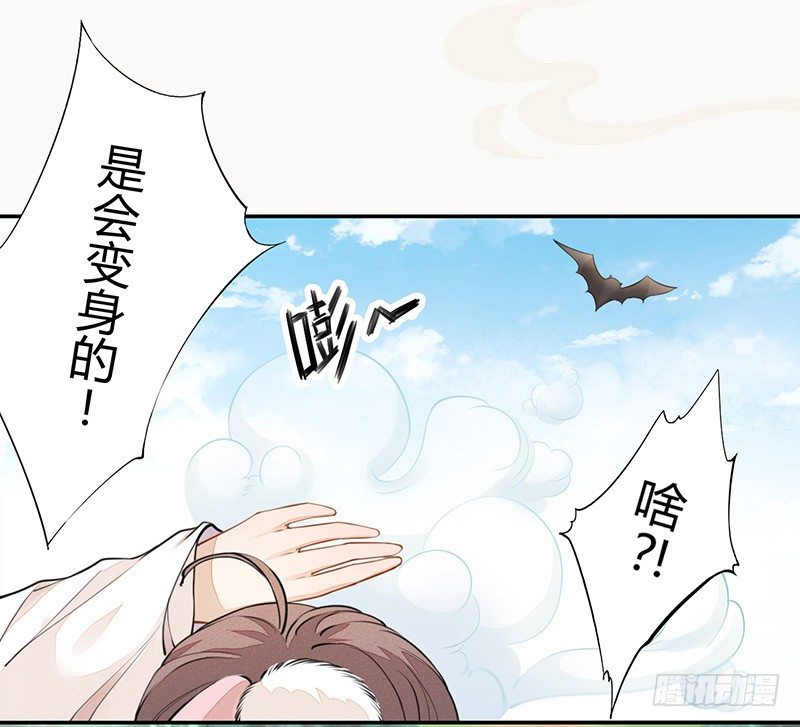 《绝世炼丹师》033 血族的用法 第13页