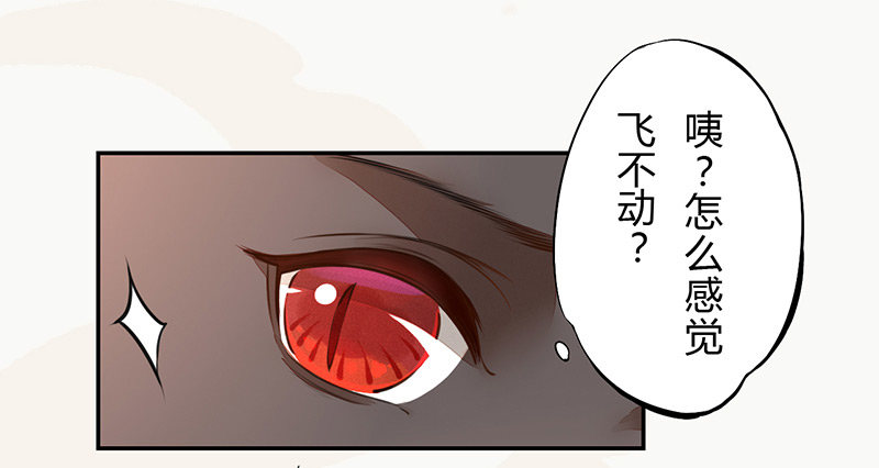 《绝世炼丹师》033 血族的用法 第16页