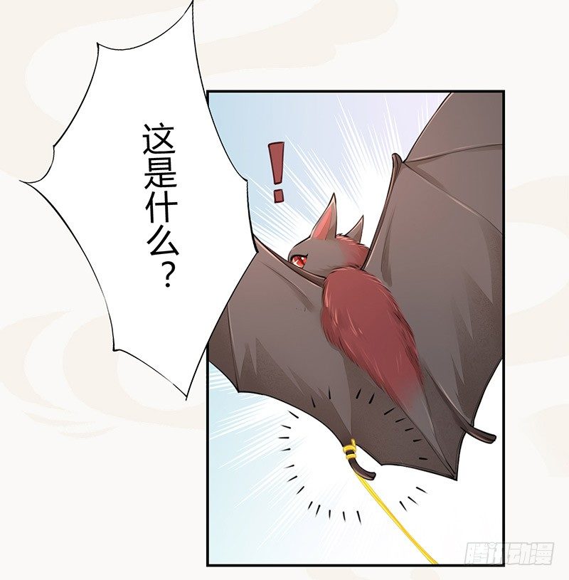 《绝世炼丹师》033 血族的用法 第17页