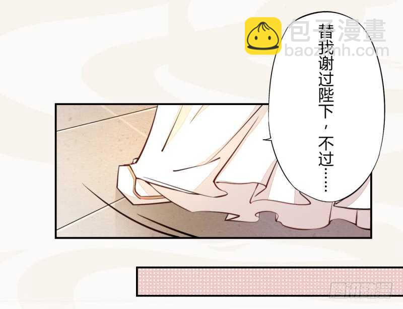 《绝世炼丹师》040 再遇国师 第29页