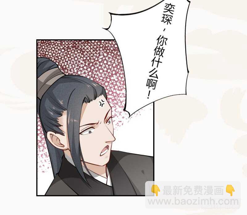 《绝世炼丹师》044 奇怪的少年 第27页