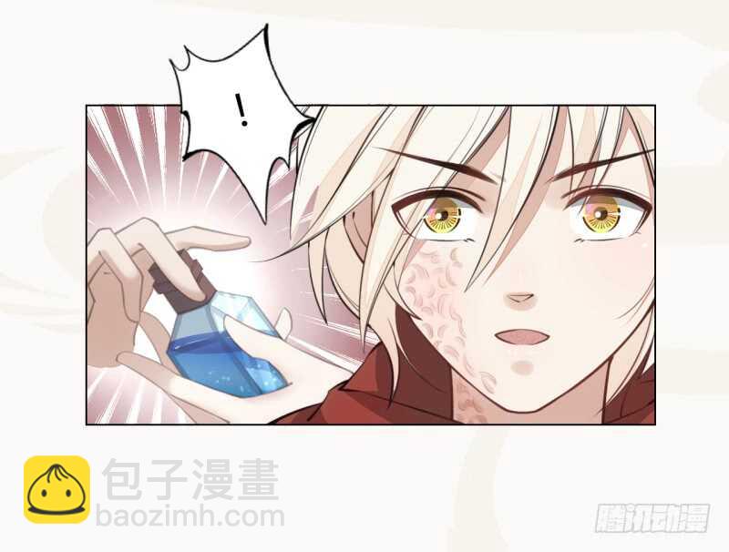 《绝世炼丹师》044 奇怪的少年 第25页
