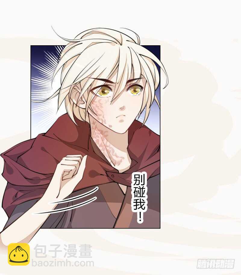 《绝世炼丹师》044 奇怪的少年 第2页