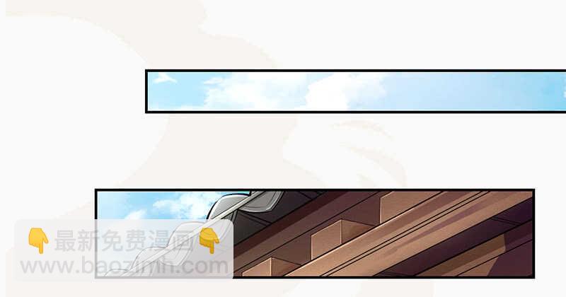 《绝世炼丹师》047 特殊待遇 第29页
