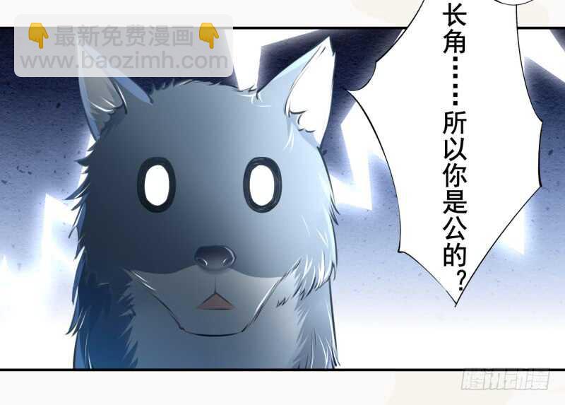 《绝世炼丹师》051 得了便宜也不卖乖 第41页