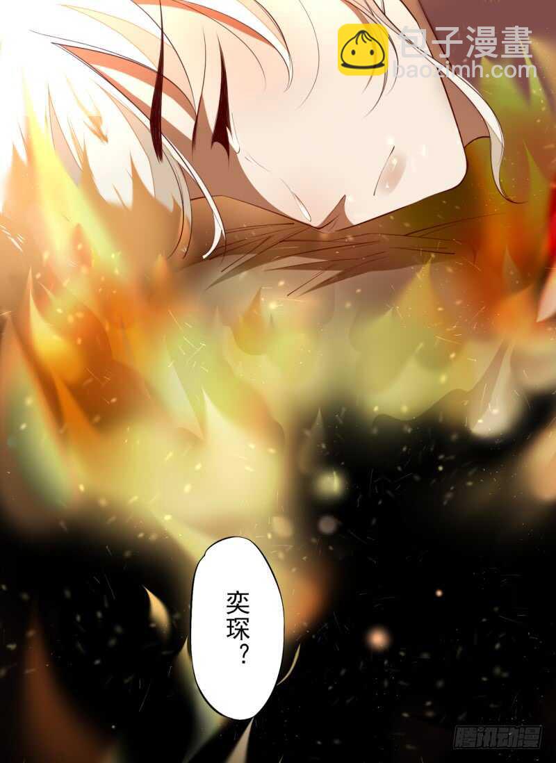 《绝世炼丹师》065 还你一个清白 第13页