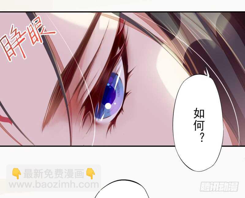 《绝世炼丹师》069 赐婚 第13页