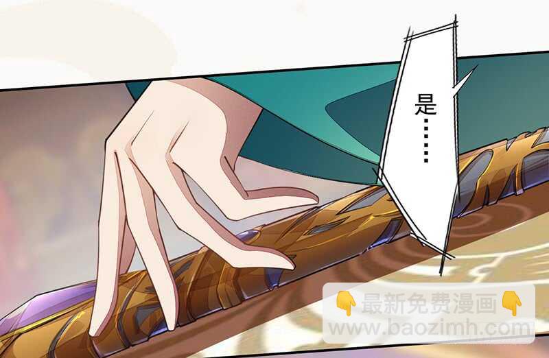 《绝世炼丹师》070 悲惨的苏苓苼 第31页