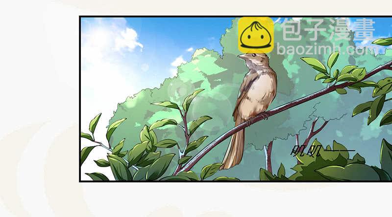 《绝世炼丹师》077 捡漏的真正玩法 第23页