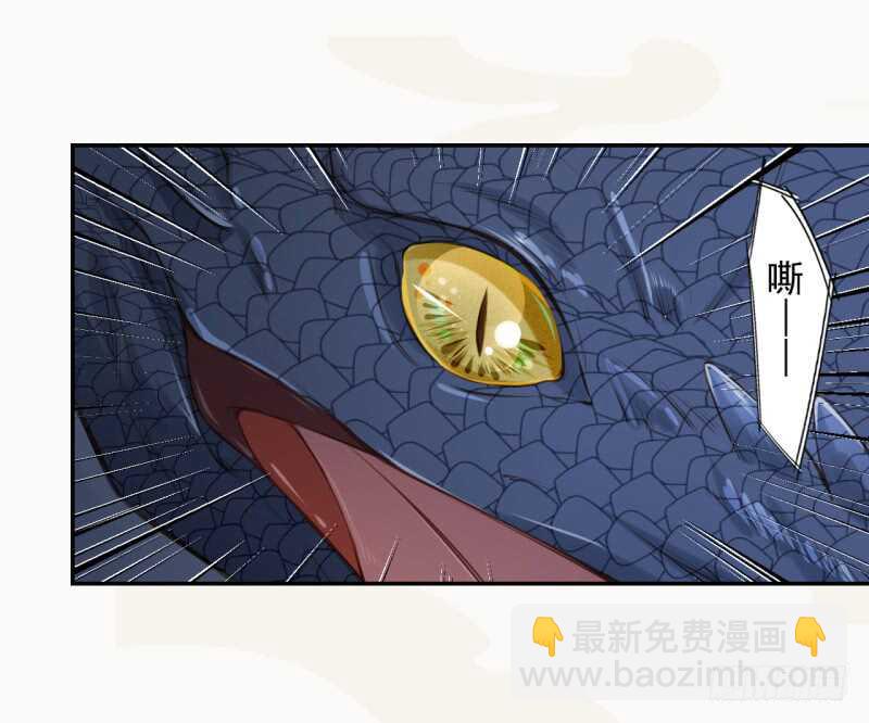 《绝世炼丹师》078 林中意外 第30页