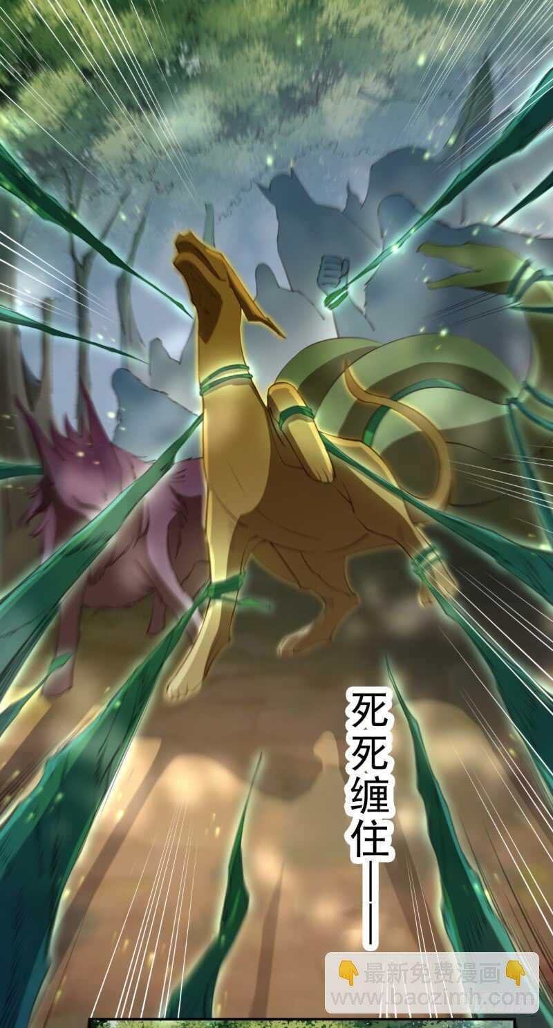《绝世炼丹师》082 她是妖族 第12页