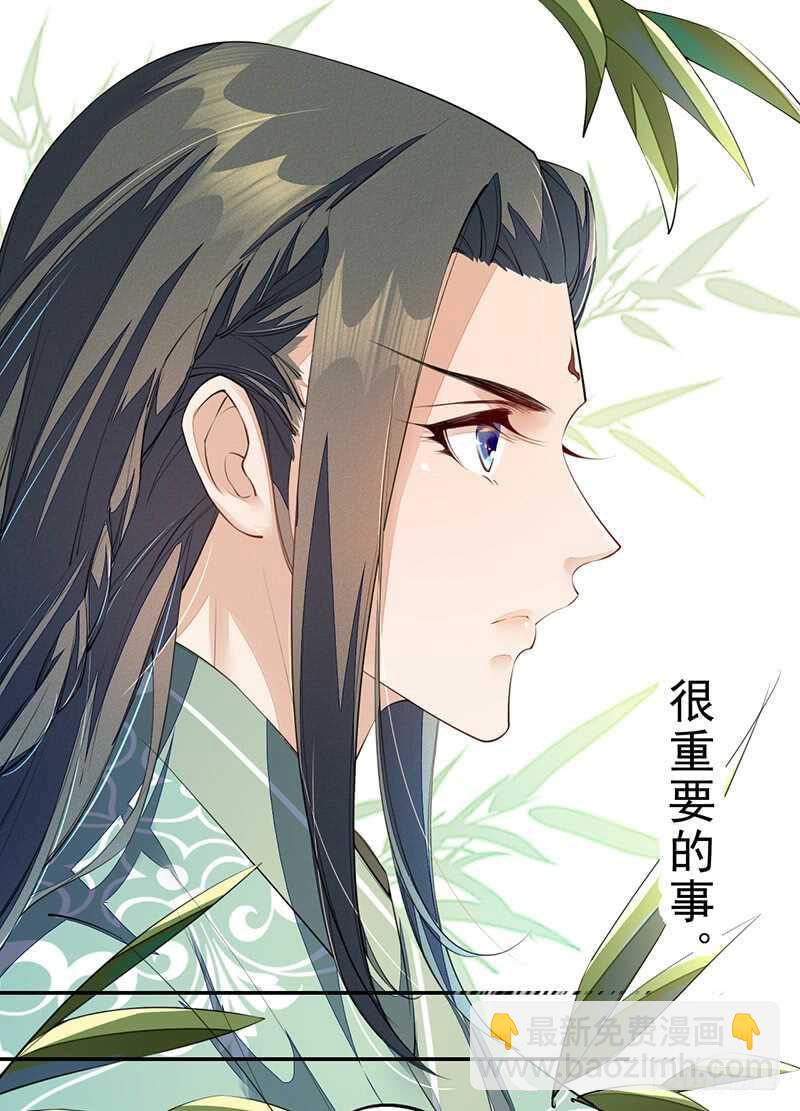 《绝世炼丹师》087 我绝不会伤害你 第12页