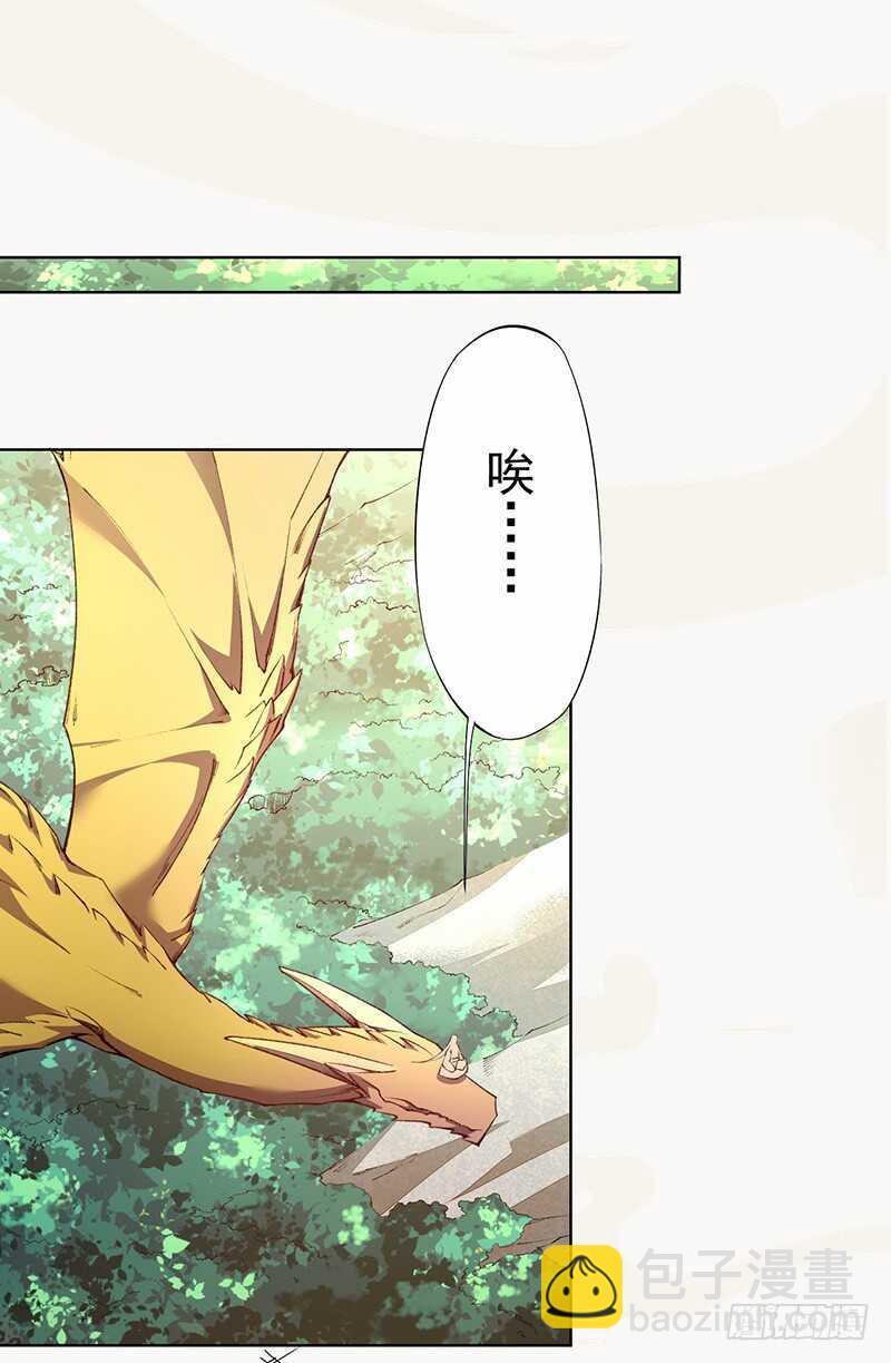 《绝世炼丹师》100 我竟然对他毫无防备 第23页