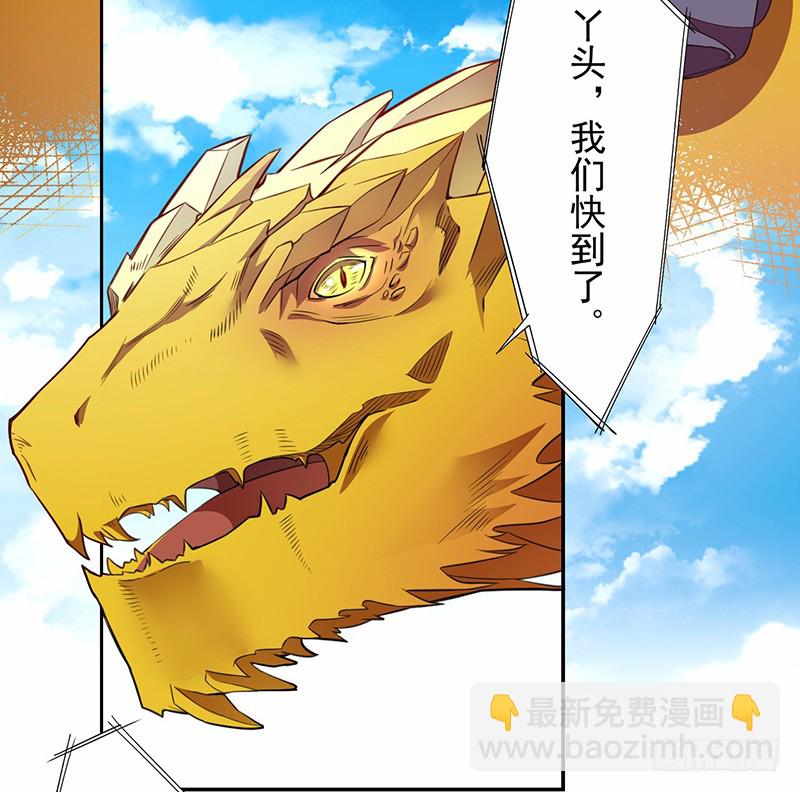 《绝世炼丹师》106 终于要离京了 第42页