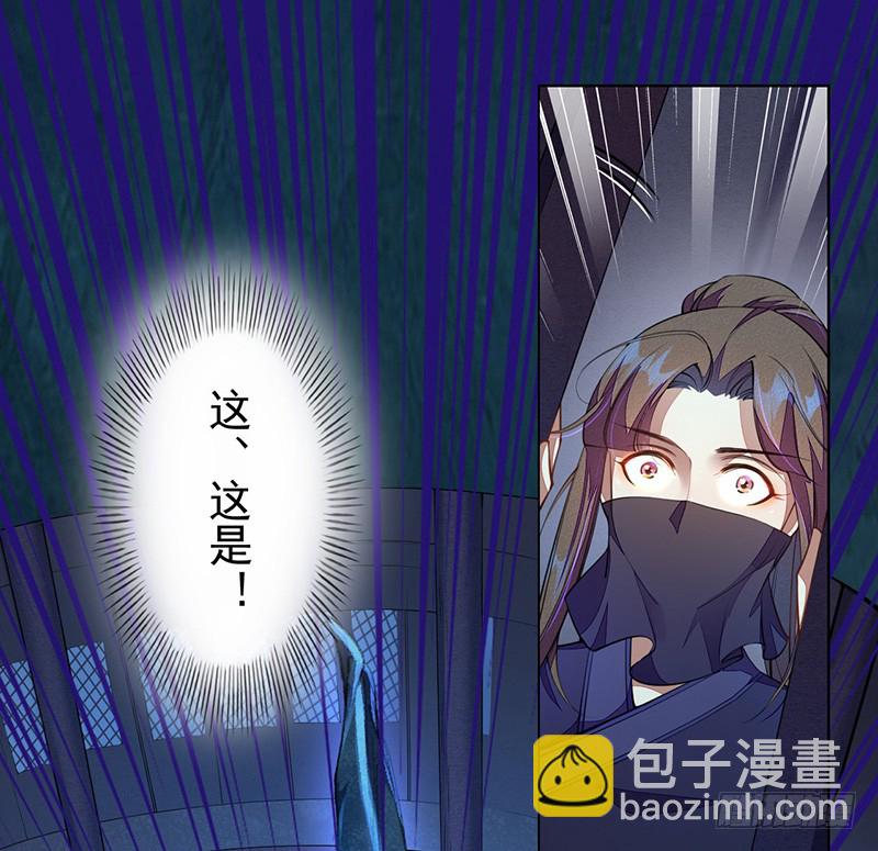 《绝世炼丹师》104 冥坊的秘密 第12页