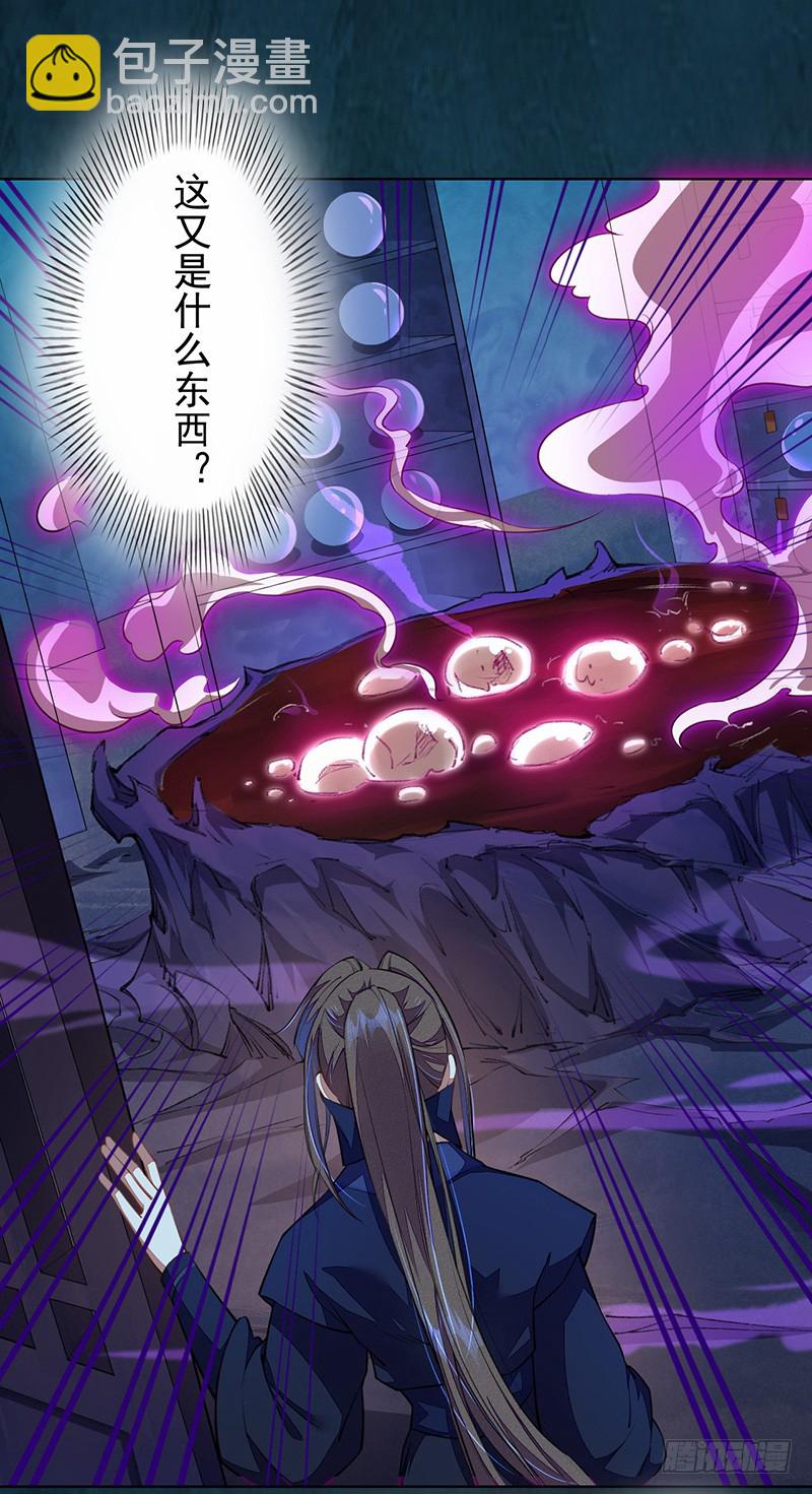 《绝世炼丹师》104 冥坊的秘密 第28页