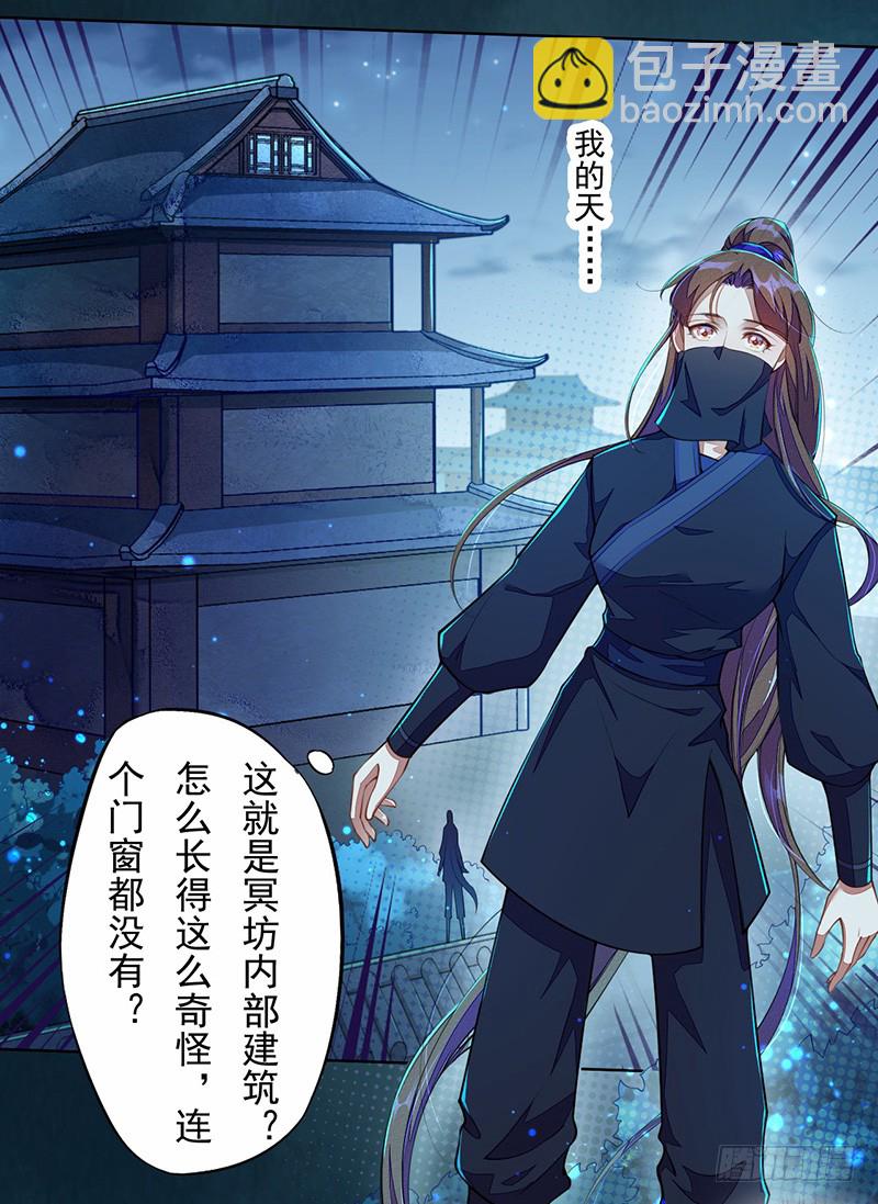 《绝世炼丹师》104 冥坊的秘密 第5页