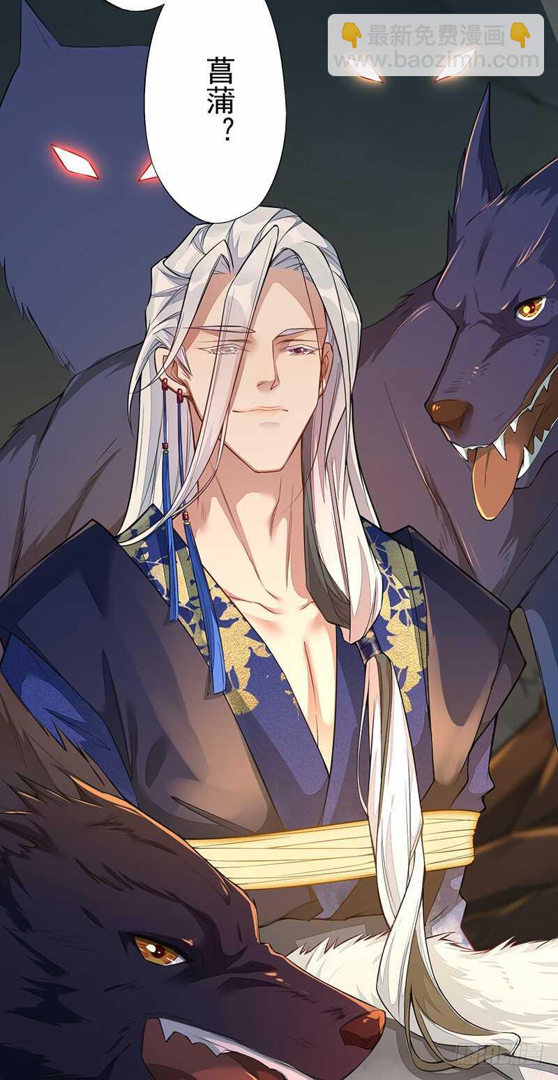 《绝世炼丹师》127 我去接她回来 第43页