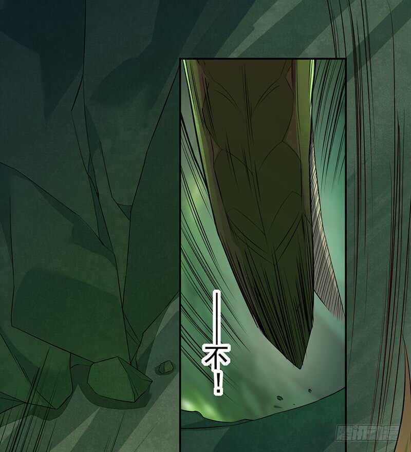 《绝世炼丹师》134 杀了我！ 第29页
