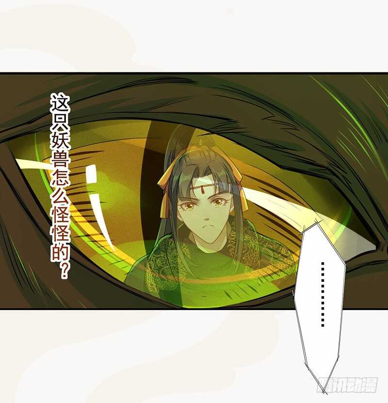 《绝世炼丹师》133 杨将军？ 第37页