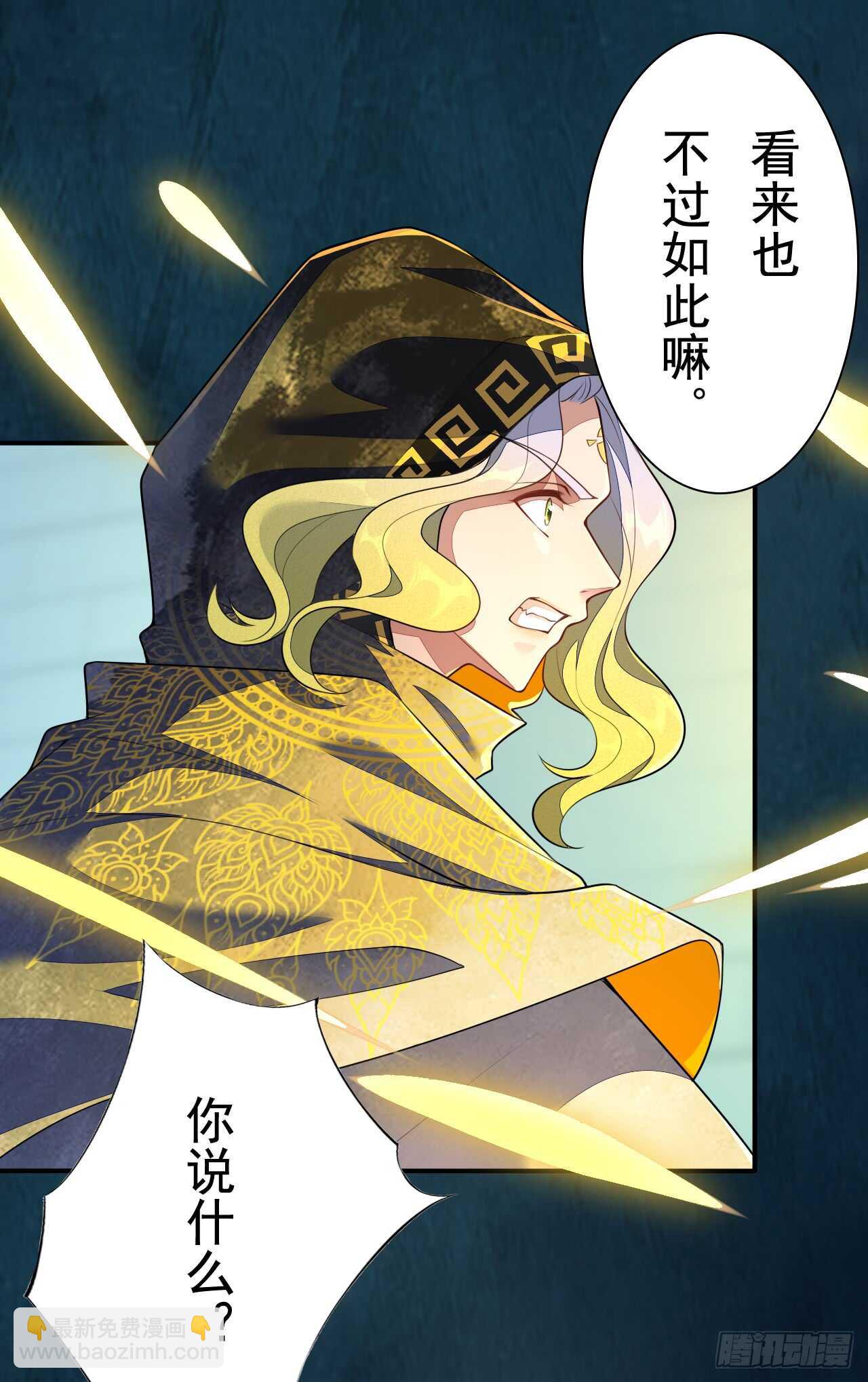 《绝世炼丹师》146 她到底是什么人 第38页