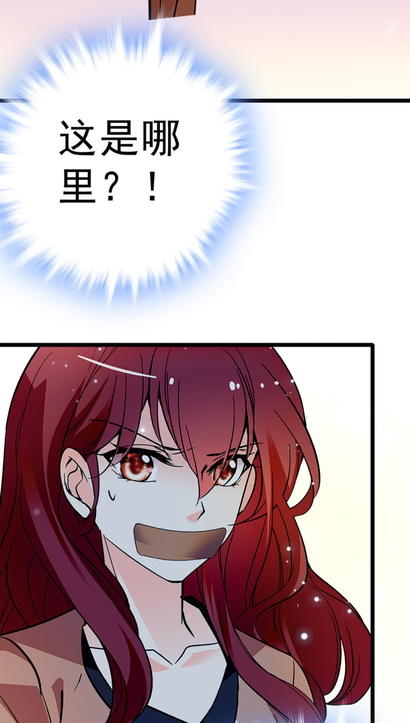 《重生之海棠花开》()046 绑架 第7页
