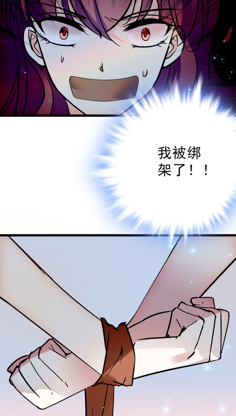 《重生之海棠花开》()046 绑架 第6页