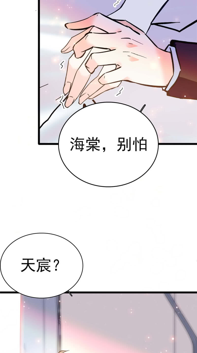 《重生之海棠花开》()049 腐烂的种子 第43页