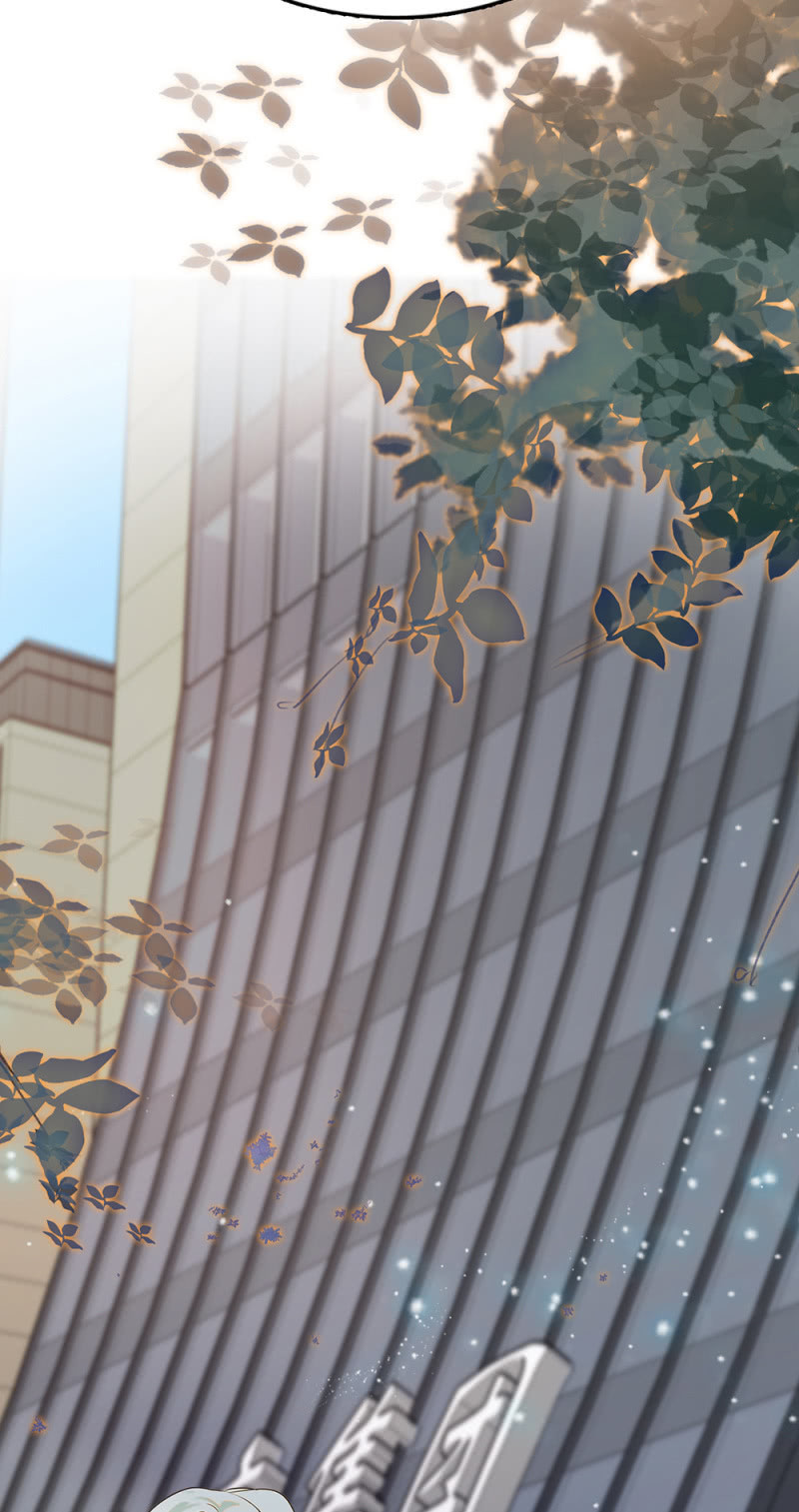 《重生之海棠花开》()061 棋士的回忆 第34页