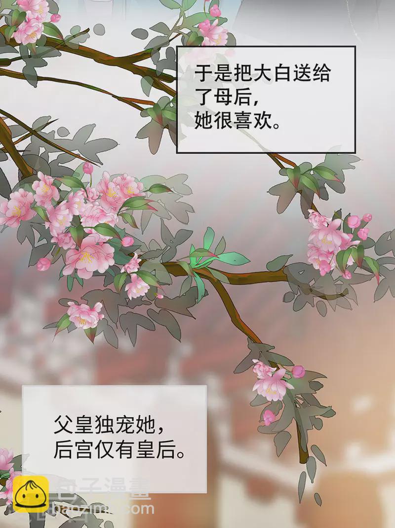 《太后裙下臣（暴君重生成男宠）》第49话 全是瞎编 第14页