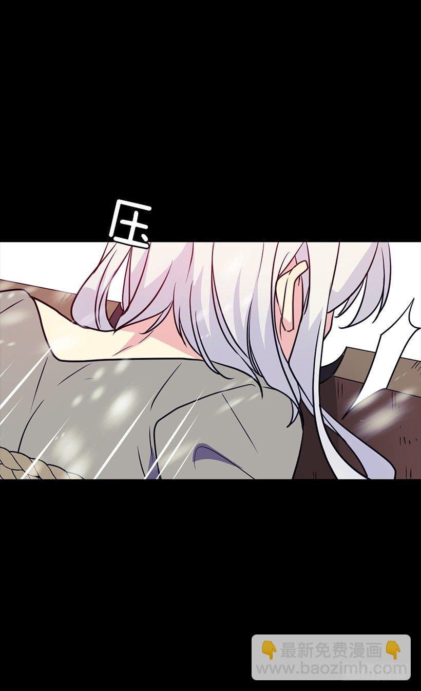 《被废弃的皇妃》谋反之罪 第17页
