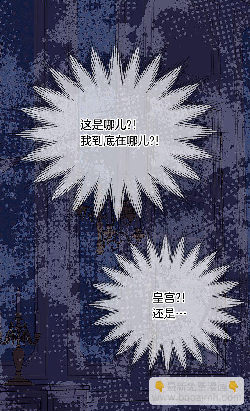 《被废弃的皇妃》最后的梦 第13页