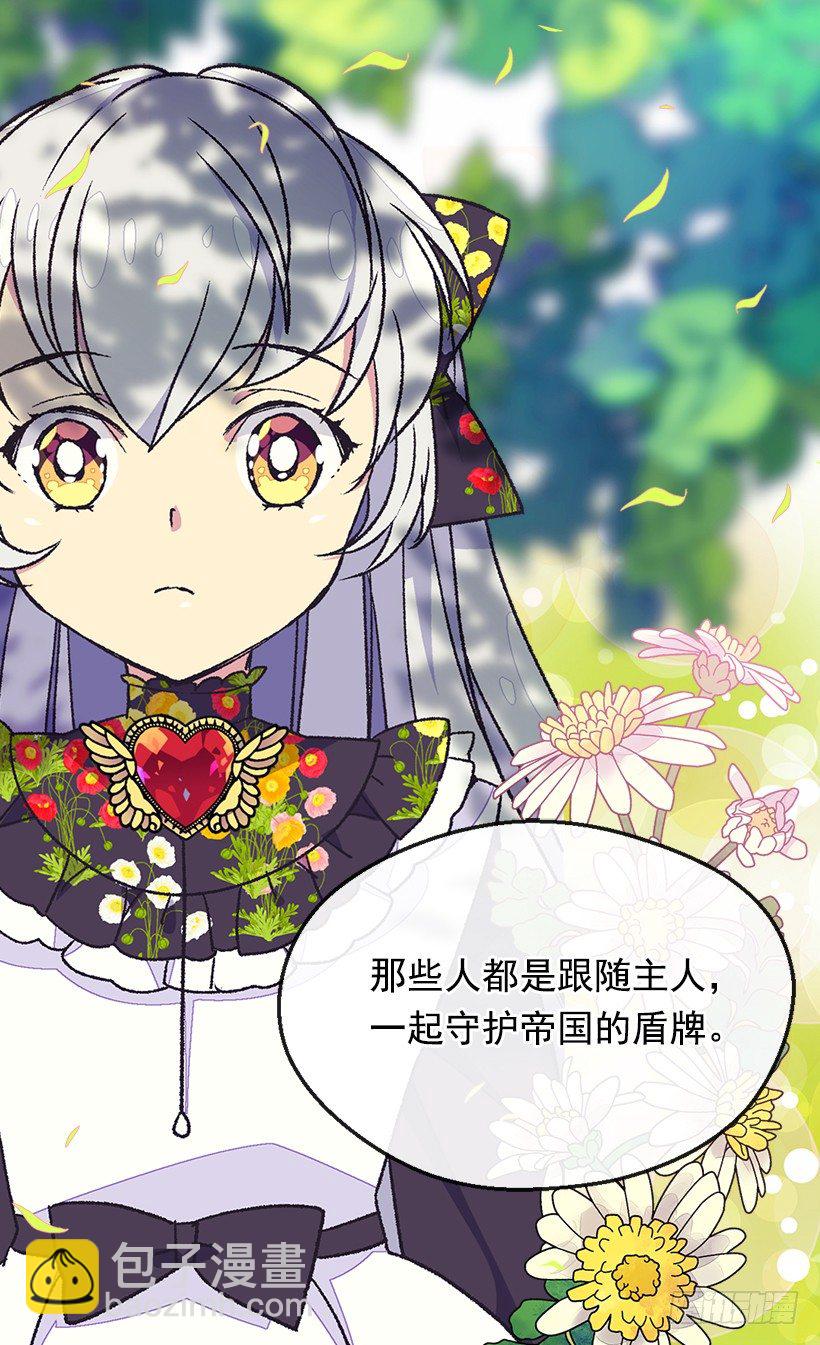 《被废弃的皇妃》帝国的盾牌 第11页