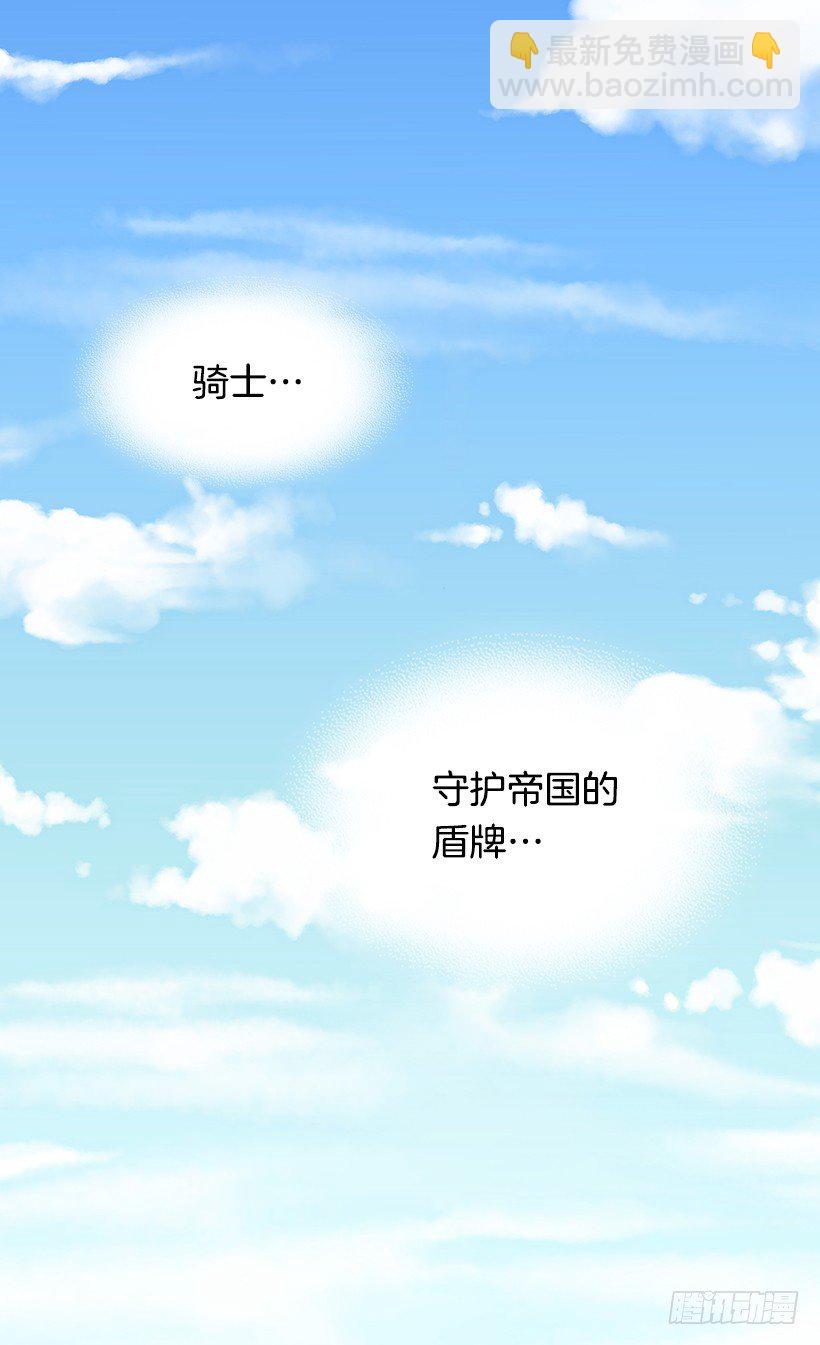 《被废弃的皇妃》帝国的盾牌 第15页