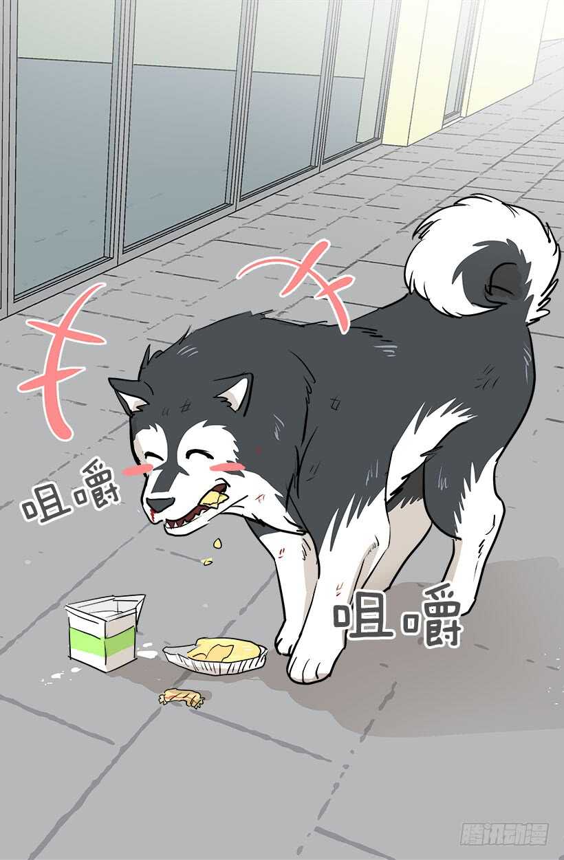 《被废弃的皇妃》贵重的礼物 第17页